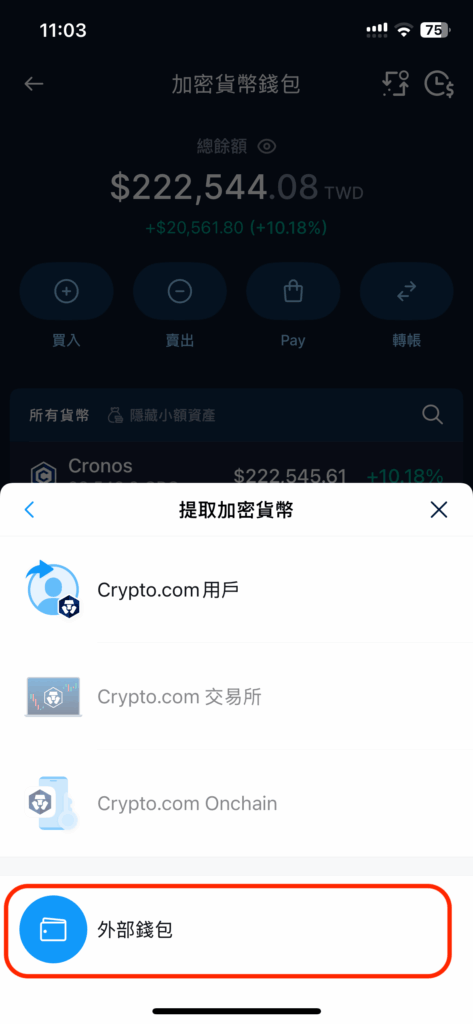 透過區塊鏈網路提領到外部錢包地址