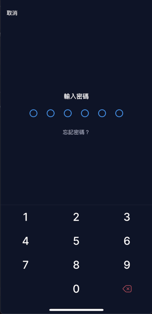 輸入先前設定 6 位數登入密碼