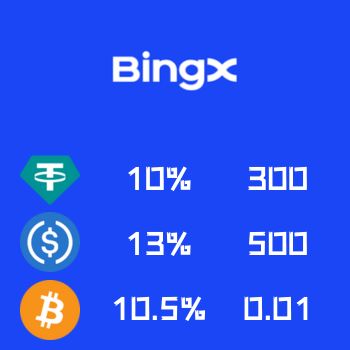 bingx 交易所